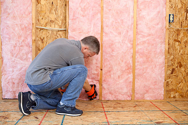 Best Specialized Insulation Services in Orangevale, CA
