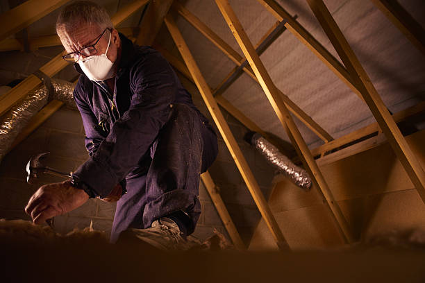 Best Residential Insulation in Orangevale, CA