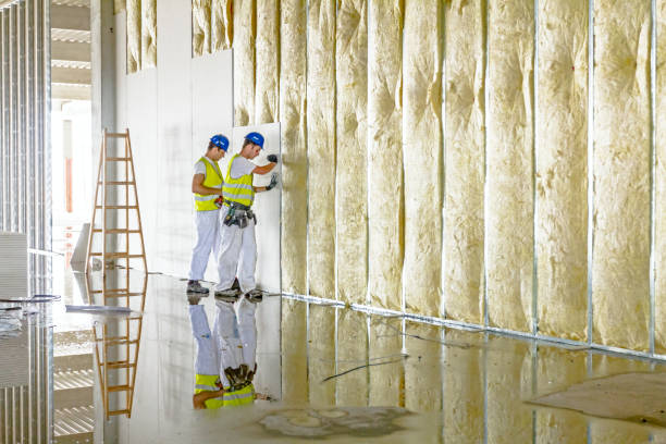 Best Geographic-Specific Insulation Services in Orangevale, CA